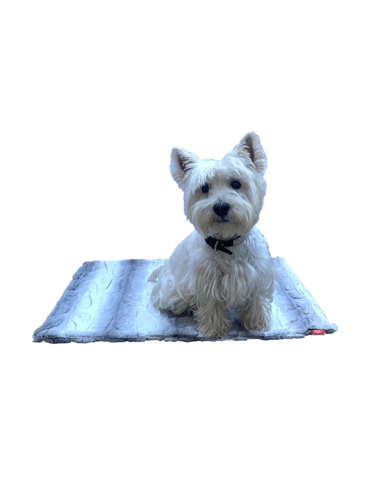 Blanket, Angora Platinum