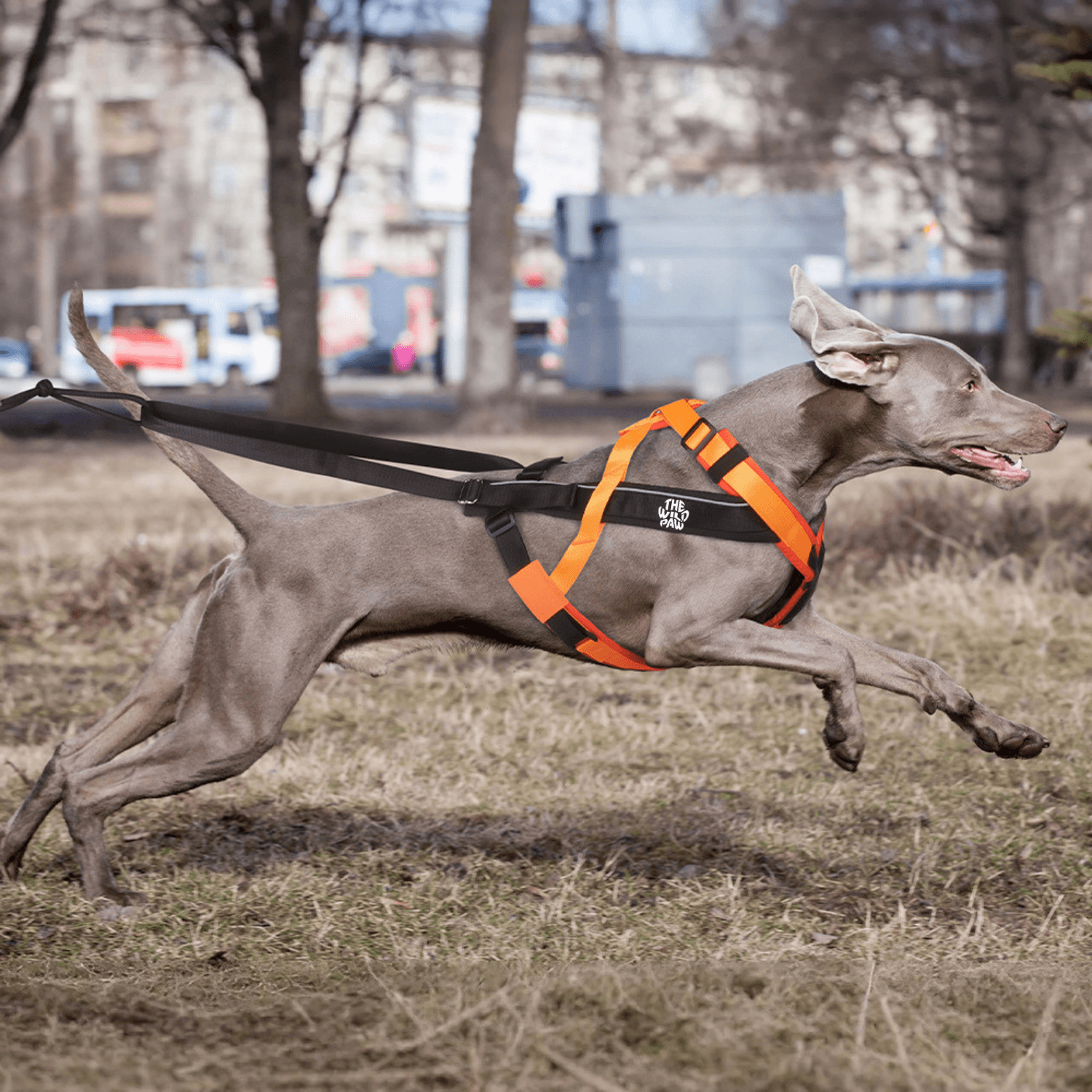 TrailControl No-Pull Harness