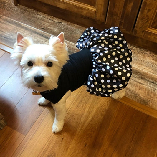 Polka Dot Tutu Dog Dress - Southlake Paws