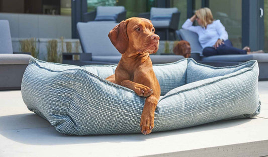 Bowsers Urban Lounger Orthopedic Dog Bed - Sleek One-Piece Design