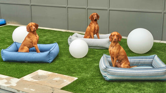 Bowsers Outdoor Urban Lounger Dog Bed - Durable Patio and Outdoor Comfort