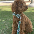 Load image into Gallery viewer, Tropical Bow Tie Dog Collar & Leash Set | Personalized Free - Southlake Paws

