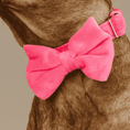 Load image into Gallery viewer, Valentina Dog Bow Tie
