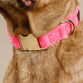 Load image into Gallery viewer, Valentina Dog Collar
