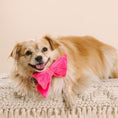 Load image into Gallery viewer, Valentina Dog Babe Bow
