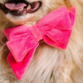 Load image into Gallery viewer, Valentina Dog Babe Bow
