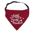 Load image into Gallery viewer, Valentines Day Flocked Hearts Dog Bandana
