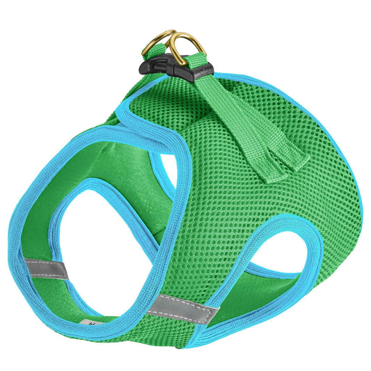 Up Country Lime and Aqua Small Dog Vest Dog Harness