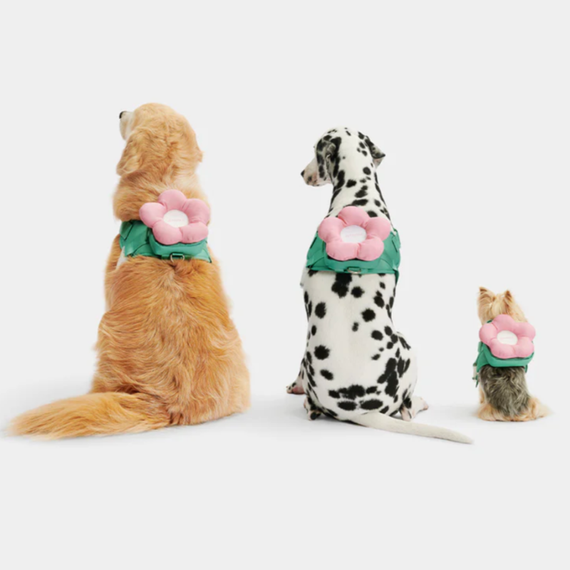 Flora Pet Harness & Backpack 3-in-1 Set - Southlake Paws