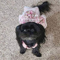 Load image into Gallery viewer, Vintage Rose Harness Dog Dress & Leash Set - Southlake Paws
