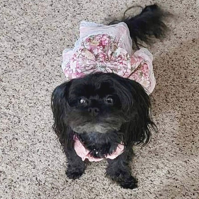 Vintage Rose Harness Dog Dress & Leash Set - Southlake Paws