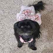 Vintage Rose Harness Dog Dress & Leash Set