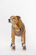 Load image into Gallery viewer, The Stassi- Dog Snow Boots
