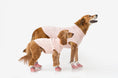 Load image into Gallery viewer, The Stassi- Dog Snow Boots
