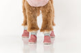 Load image into Gallery viewer, The Stassi- Dog Snow Boots
