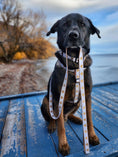 Load image into Gallery viewer, White Heart of Gold Dog Harness
