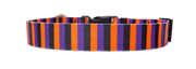 Witchy Stripes Dog Collar
