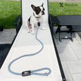 Load image into Gallery viewer, Rope Leash - Rainbow Reflective - Southlake Paws
