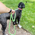 Load image into Gallery viewer, Rope Leash - Rainbow Reflective - Southlake Paws

