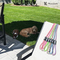 Load image into Gallery viewer, Rope Leash - Rainbow Reflective - Southlake Paws
