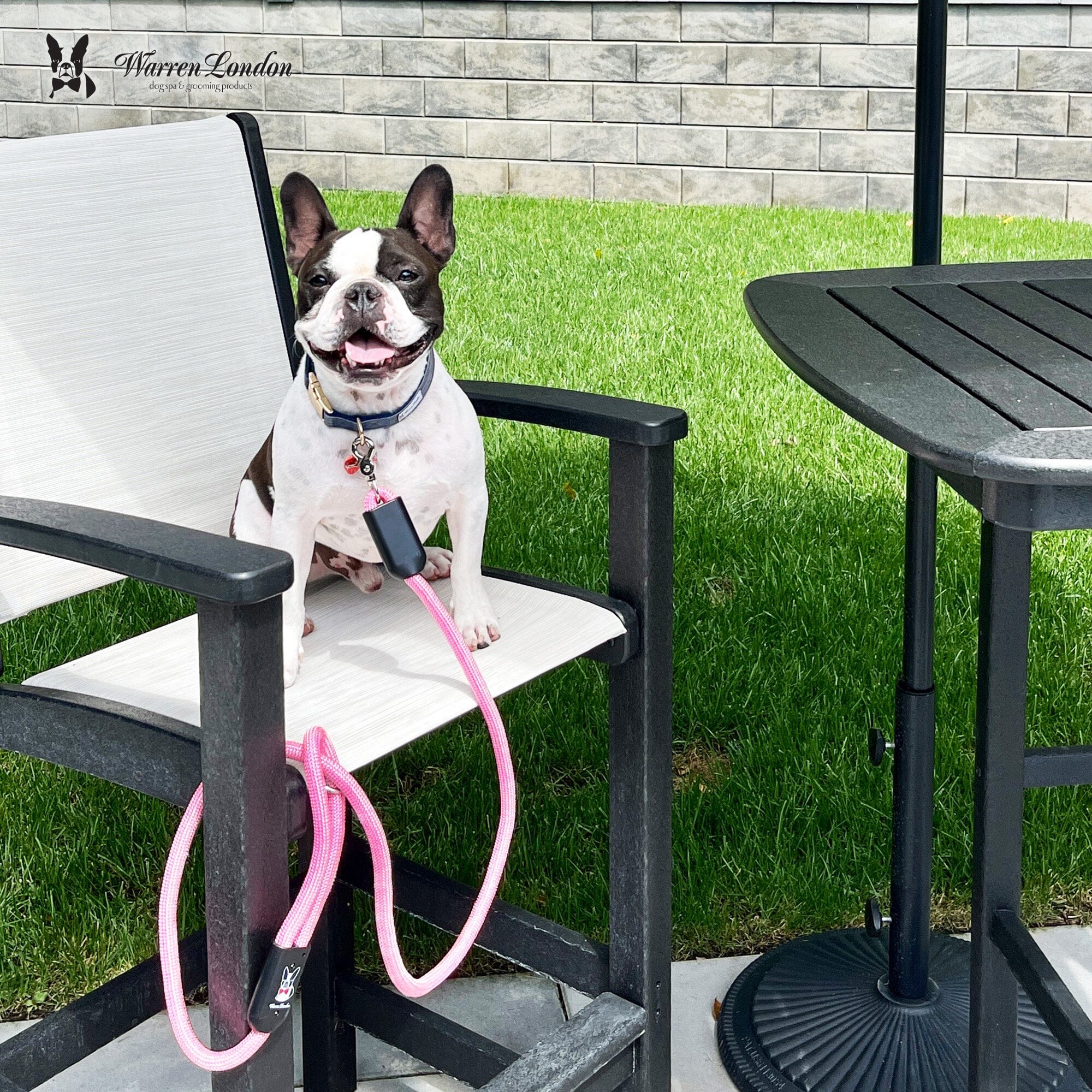 Rope Leash - Rainbow Reflective - Southlake Paws