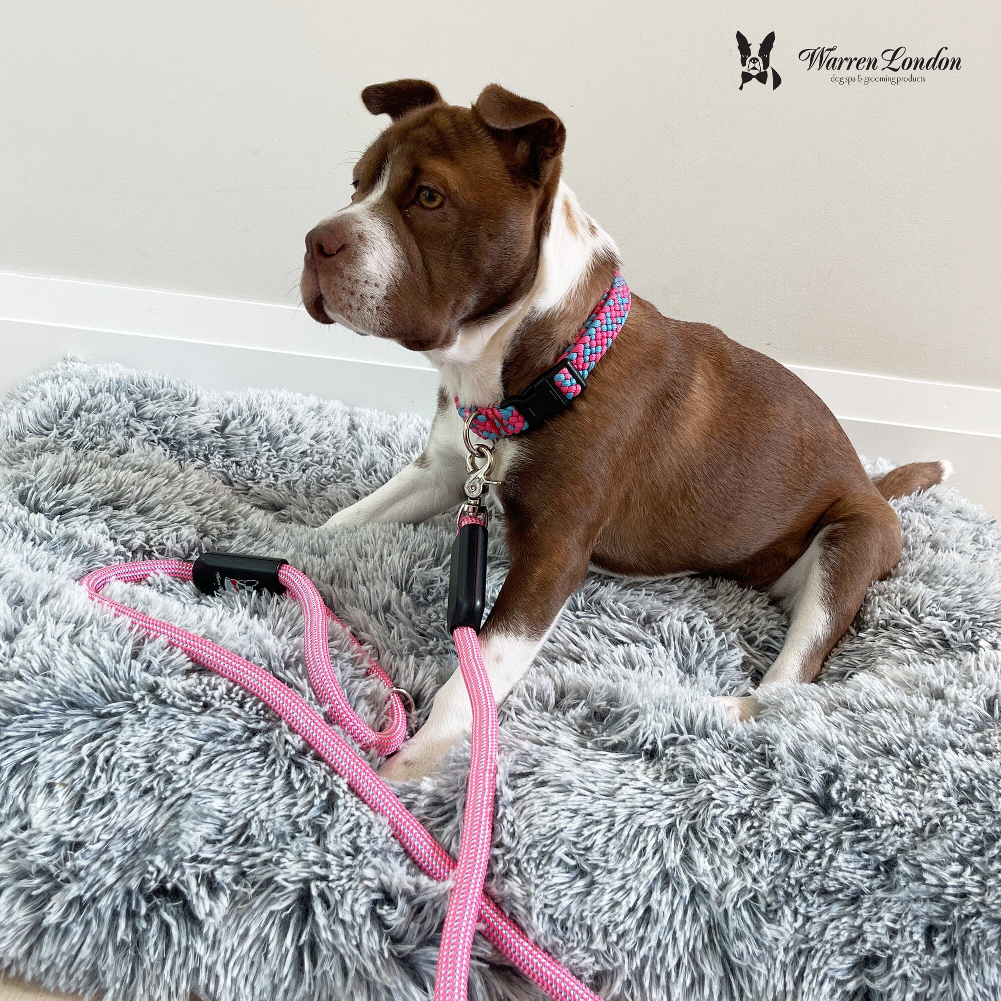 Rope Leash - Rainbow Reflective - Southlake Paws
