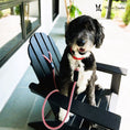 Load image into Gallery viewer, Rope Leash - Rainbow Reflective - Southlake Paws
