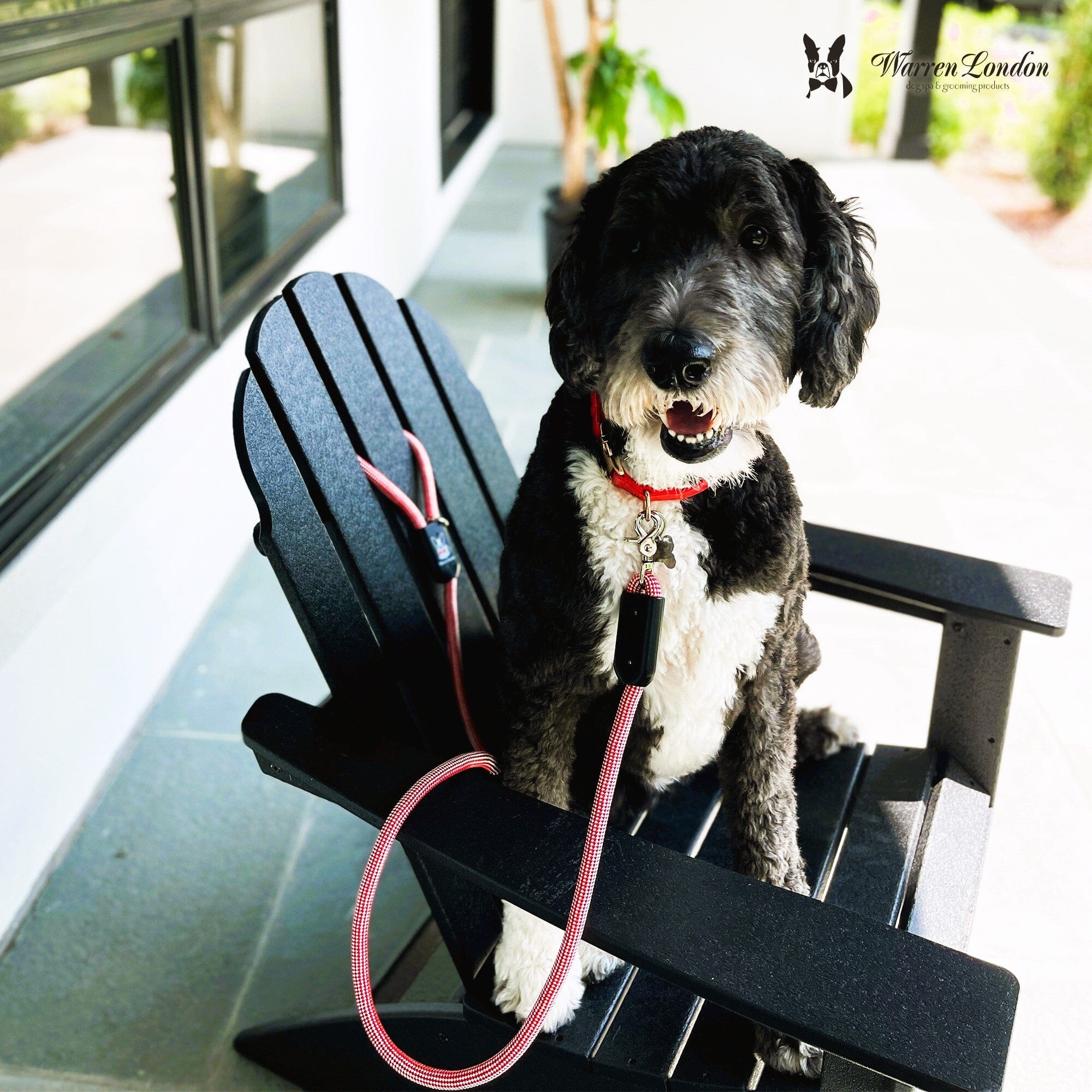 Rope Leash - Rainbow Reflective - Southlake Paws