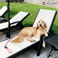 Load image into Gallery viewer, Rope Leash - Rainbow Reflective - Southlake Paws
