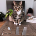 Load image into Gallery viewer, Carding Cat Comb
