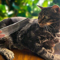 Load image into Gallery viewer, Carding Cat Comb
