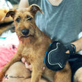 Load image into Gallery viewer, 2 in 1 Pet Grooming Glove for Dogs & Cats - Double Sided
