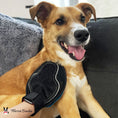 Load image into Gallery viewer, 2 in 1 Pet Grooming Glove for Dogs & Cats - Double Sided
