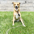 Load image into Gallery viewer, Rope Leash - Rainbow Reflective
