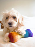Load image into Gallery viewer, RAINBOW WOOLBONE
