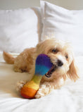 Load image into Gallery viewer, RAINBOW WOOLBONE
