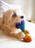 Load image into Gallery viewer, RAINBOW WOOLBONE
