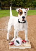 Load image into Gallery viewer, Chicago White Sox Nylon Baseball Rope Toy
