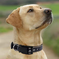 Load image into Gallery viewer, Chicago White Sox Satin Collar
