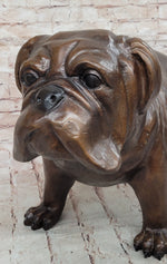 Life Size English Bulldog Puppy Bronze Statue Sculpture Figure 14