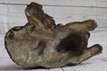 Load image into Gallery viewer, Labrador Retriever and Puppy Bronze Sculpture Dog Figure Figurine Decor 4" x 8"
