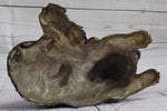 Labrador Retriever and Puppy Bronze Sculpture Dog Figure Figurine Decor 4