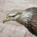 Load image into Gallery viewer, Detailed Bronze Bald Eagle Sculpture – Moigniez Signature Bird Piece
