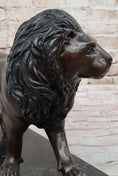 Load image into Gallery viewer, Hot Cast Bronze Hunting Lion Puma Lioness Jungle Safari Statue Sculpture Figurine
