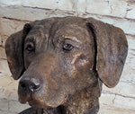 Labrador Retriever Dog Pet Bronze Bust Sculpture Statue Figure on Marble Base