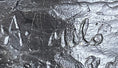 Load image into Gallery viewer, American Bald Eagle Head Bronze Metal Bust Sculpture Statue on Marble Base by Milo
