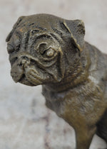 Pug Dog Bronze Miniature Statue Sculpture Figure Original Art 4