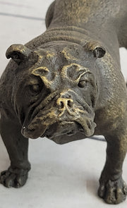 English Bulldog Miniature Bronze Statue Sculpture Figure Figurine Original Art 3
