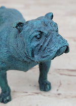 English Bulldog Bronze Metal Figurine Sculpture Original Art Collectible Blue Patina