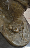 Load image into Gallery viewer, Rhinoceros Rhino Safari Wildlife Bronze Sculpture Statue Original Signed Art
